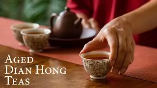 Aged Dian Hong Teas