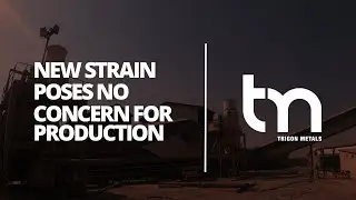 New Strain Poses No Concern for Production