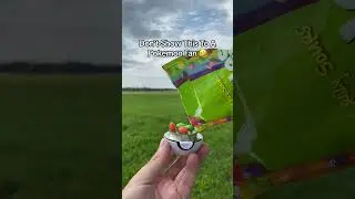 Perfect Pokemon snack 🤫