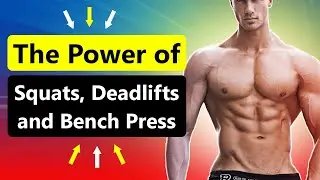 The Power of Compound Movements Squats, Deadlifts, and Bench Press