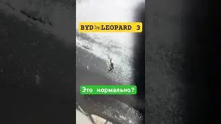 🖊️Ручки #BYD в 🥶мороз -10&deg; 🐆#leopard 3 #снег❄️, #дождь🌧️, #лед🧊 выедут? Что делать? не выехали?