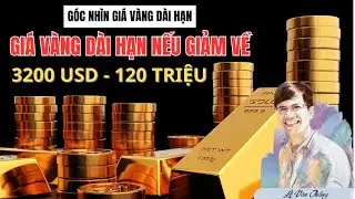 GIÁ VÀNG GÓC NHÌN DÀI HẠN - Tại sao kịch bản 20 năm suy giảm khó xảy ra?