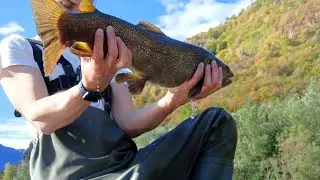 Pescata difficilissima alla ricerca della trota MARMORATA sul fiume Toce (new PB)! Big MARBLE!