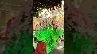 Ajmer Sharif Dargah Eid Milad un Nabi Night program..💯⚡                     #ajmersharif #night #kgn