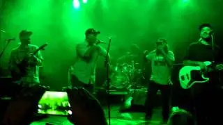 The Expanders - Sensi Addict