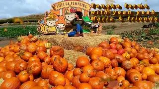 How Irvine Tanaka farms looks like over the weekend