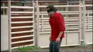 johnny knoxville gets hit by a bull