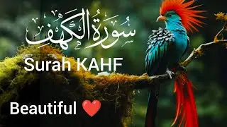 Surah Kahf. Amazing quran Kareem tilawat beautiful video  سورۃ الکہف By Hafiz Javed 