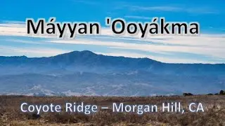 How to hike MÁYYAN 'OOYÁKMA - Coyote Ridge in Morgan Hill, CA