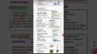 Plant kingdom class 11 short notes #neet 