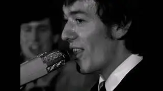 NEW * Look Through Any Window - The Hollies {Stereo} 1965