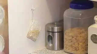 Отпугивайте мышей с помощью набора отпугивателей грызунов Victor Scent-Away Natural Rodent Repeller Packs
