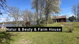 Beautiful Sweden ,Natur  Beuty & Farm House ! #sweden #lifeinsweden #Shadhomecooking#swedenlife