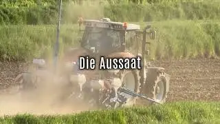 HANFANBAU 6 - Die Aussaat
