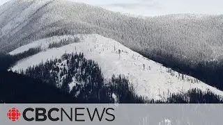 Why B.C.'s iconic Kokanee glacier 'is a glacier in trouble'