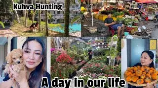 KUHVA HUNTING, BAZAR VLOG, PANGPAR LEH PLANTS DAWR KAL ANG. HUAN UPDATE #vlog #adayinmylife #bazar 
