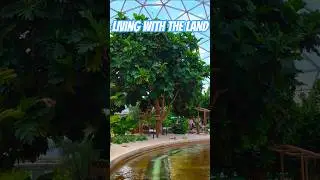 Living with the Land 4K 60FPS POV | Epcot #disney #disneyworld #epcot #livingwiththeland #nature