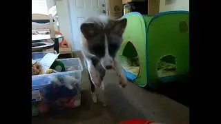 We found his favorite lost ball