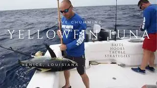 Live Bait Chumming Trawl Boats for Yellowfin Tuna - In The Spread