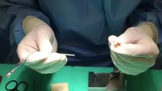 Creating a Cartilage Anchored Tube to Improve Tympanostomy Tube Retention