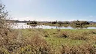Fern Ridge Reservoir in Lane County, Oregon