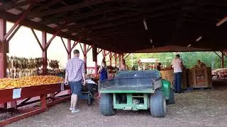 Pumpkin country!