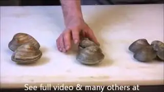 How to open clams