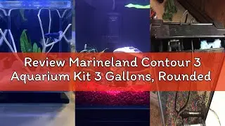 Review Marineland Contour 3 Aquarium Kit 3 Gallons, Rounded Glass Corners, Includes LED Lighting