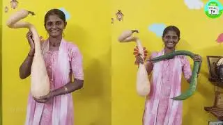 காய்கறிகளில் இருந்து விதை தேர்வு செய்யும் முறைகள் | How to select seeds விதைதீவு பிரியா ராஜ்நாராயணன்