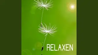 Relaxation Aid