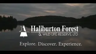 Haliburton Forest - Explore, Discover, Experience