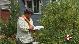 Drawing nature's details: Botanical art classes bloom at Mass. Horticultural Society