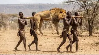 Real Survival in Africa: The Hadzabe Hunt in Lion Territory