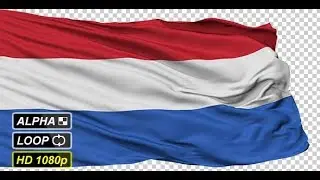 Isolated Waving National Flag of Netherlands Dutch | Motion Graphics - Videohive template