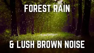 FOREST RAIN & LUSH BROWN NOISE | 12 Hours | Black Screen | No Midway Ads - Relax/ Sleep/ Focus