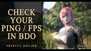 CHECK PING AND FPS , HOW TO CHECK BLACK DESERT ONLINE 2022 BDO TUTORIAL GUIDE NEW PLAYER & BEGINNERS