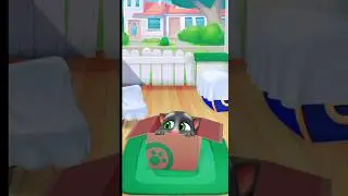 MY 🙋TALKING ✨TOM 2 🤩||#shorts #animal #new