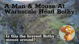 Meeting The Bravest Mouse Ever At Warmscale Head Bothy