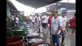 bulogan sa navotas