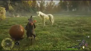 Hogwarts Legacy: Fun with Mooncalfs and a Unicorn!