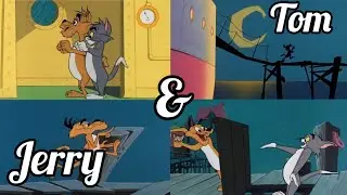 Tom & Jerry | Fight for Jerry #entertainment #film&animation #tom&jerry #cartoon