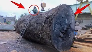 [ Big Wood Tree ] The factory monster saws huge wood into big, thick slabs