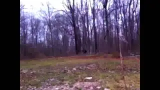 Live Breakdown #3  Real Bigfoot Footage From North Carolina Parabreakdown Mirror