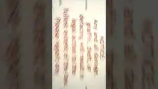 SAVAGE LEVEL 102%