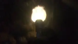 Pesca Sub Notturna Polipo In Tana