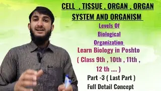 Cell ,Tissue  ,Organ ,Organ system, Organism ( Levels Of Biological Organization ) Part-3 in Poshto 