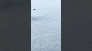 Rescue Mission Indian Coast Guard