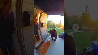 The most intense 5 seconds caught on doorcam 🎥⚡🐻#ai #shortvideo #crazy #realencounters