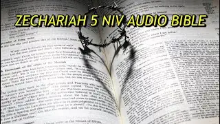 ZECHARIAH 5 NIV AUDIO BIBLE(with text)