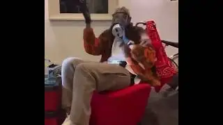 Chris Brown Freestyle (Coronavi****s)